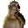 MonkeyThink