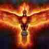 PhoenixPDG