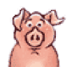 Cochonet
