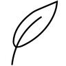 Twigless Leaf
