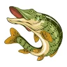 pike