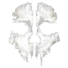 BeowulfKnight