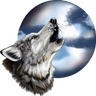 lonewolf1986