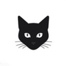 BlackCatStudio