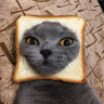 PatatoesForEver