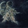 yogsothoth82