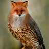 falox