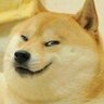 udogu
