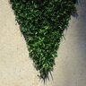 Fresh.Cut.Grass