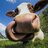 Moo